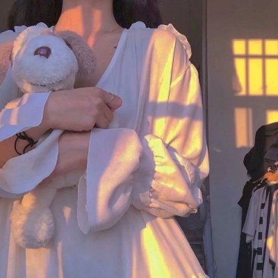 蜘蛛与郁金香