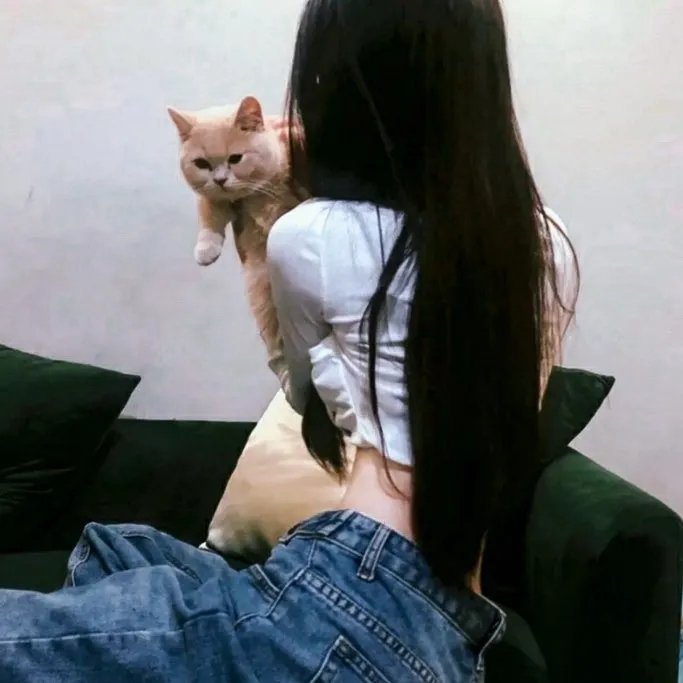 情色风暴